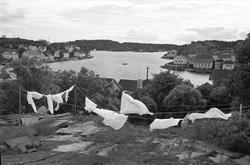 Lyngør, september 1962, klesvask til tørk, utsikt over fjord