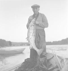 Holmen/Hellefoss, 21.06.1961, fornøyd fisker med dagens laks