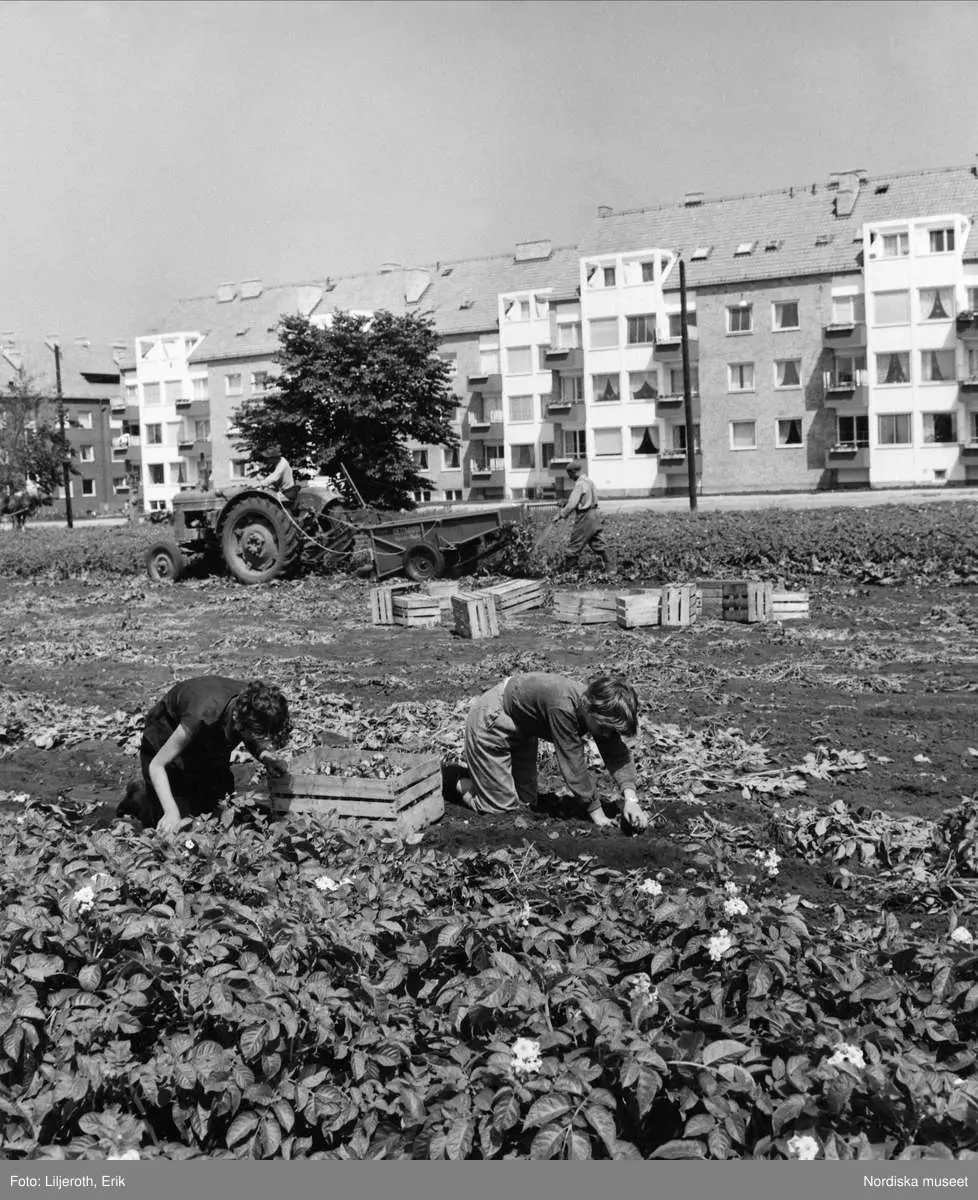 Bildresultat för malmö förr