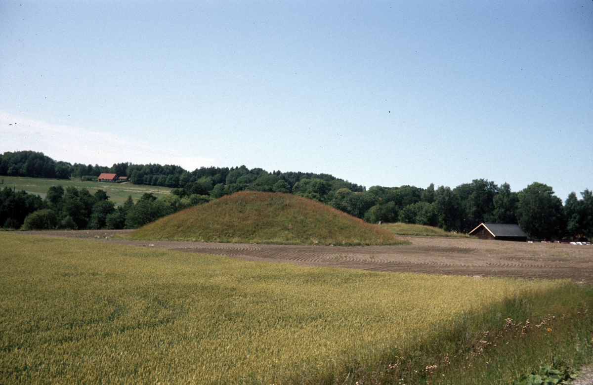 Blotsvens hög vid Ekensberg, Tillinge socken, Uppland 1992