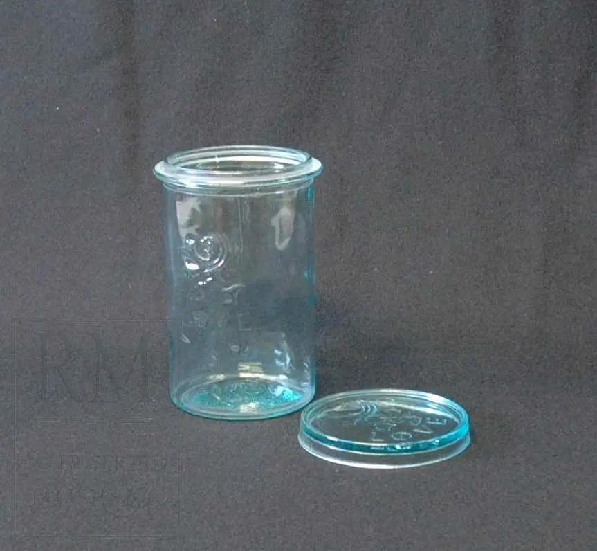 Drammens glass løve