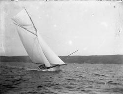 'Astrid' under regatta, Vestfjord, 1896