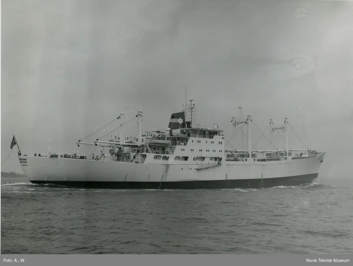 Eksteriør, kjøleskipet M/S Avocadocore, B/N 559 i Oslofjorden. Skipet ble levert av Akers Mek. Verksted 29. juni 1965 til Maritime Fruit Carriers Co. Haifa, Israel.