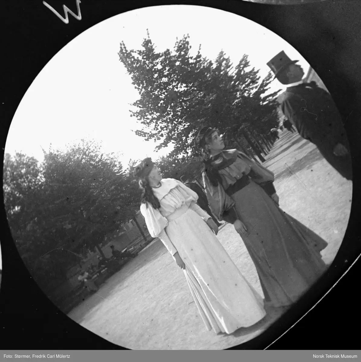 Knapphullsbilder, to kvinnelige studenter på Carl Johan, 1893-97