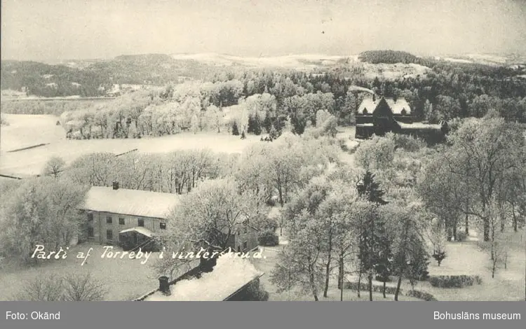 Tryckt text på kortet: "Parti af Torreby i vinterskrud".


