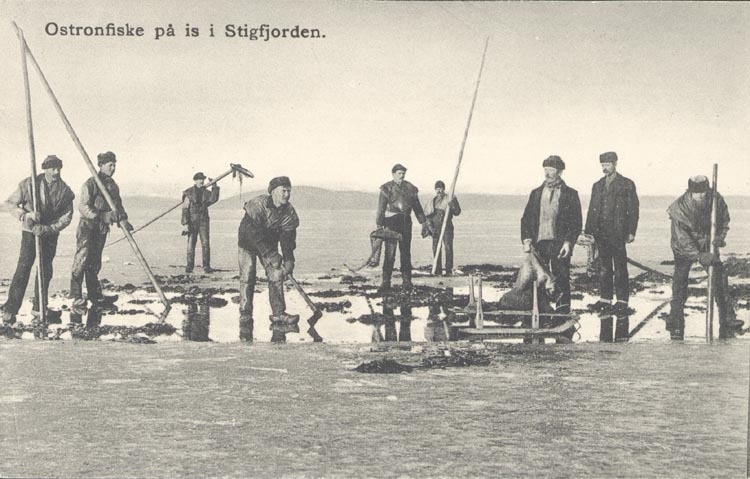 Tryckt text på kortet: "Ostronfiske på is i Stigfjorden".
"Förlaget i Hjälteby".