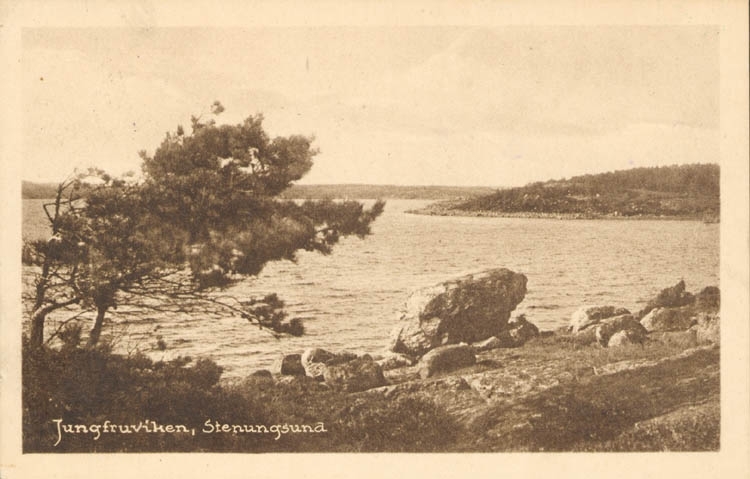 Tryckt text på kortet: "Jungfruviken, Stenungsund."