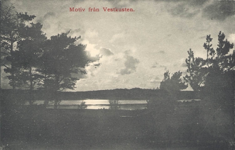 Tryckt text på kortet: "Motiv från Vestkusten."
Noterat på kortet: "Sundet mellan Stora- och Lilla Askerön."