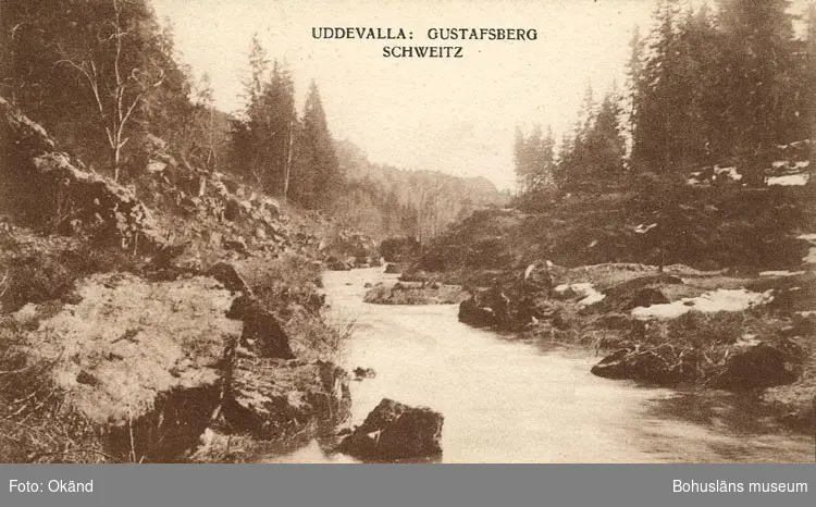 Tryckt text på vykortets framsida: "UDDEVALLA: GUSTAFSBERG". "SCHWEITZ".