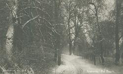 Kristiania. Fra Bygdö.