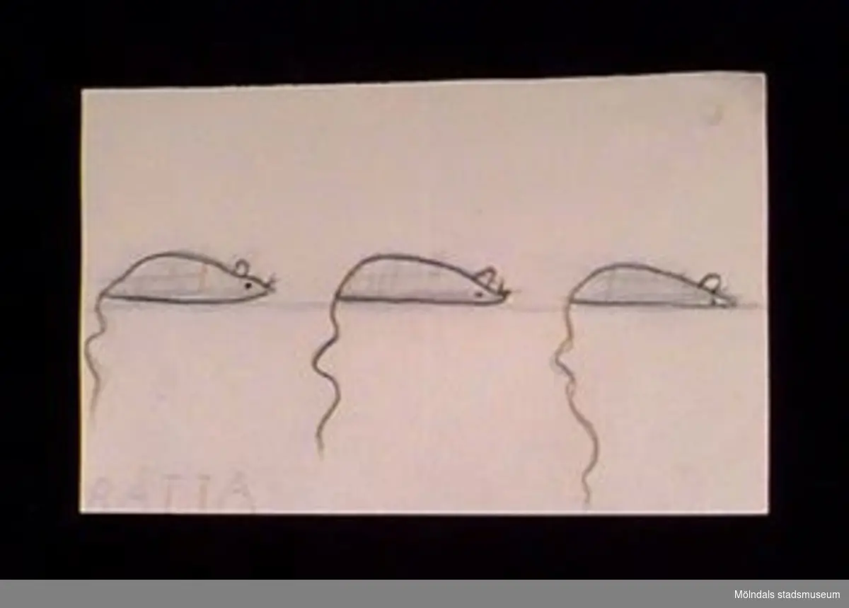 En teckning föreställande tre råttor. Utfört i blyerts och svart krita. I vänster nederkant står med stora bokstäver i blyerts "RÅTTA".Givaren gick hela sin skoltid i Toltorpsskolan.