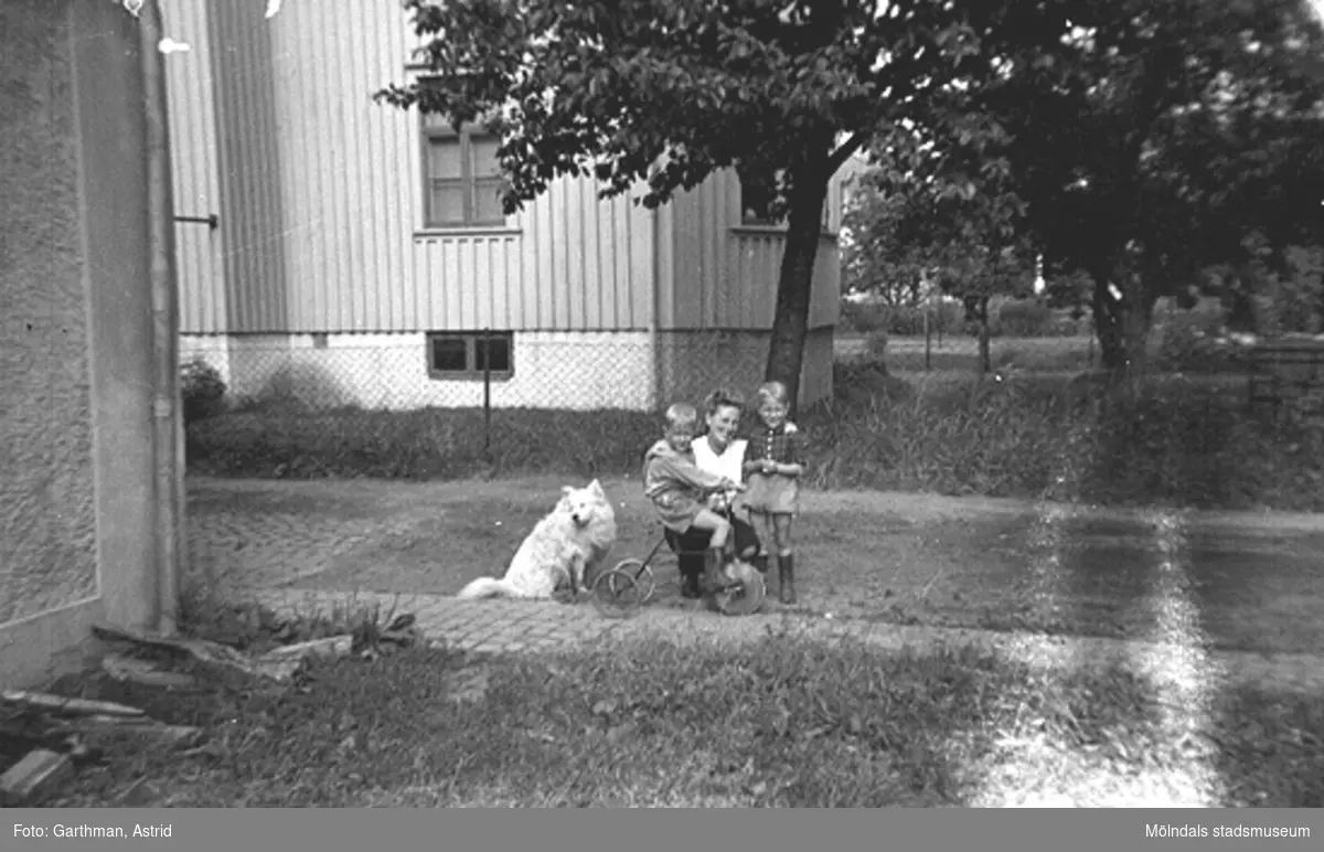 Hunden Moberg 1, Leif Garthman sittandes på en trehjuling, mamma Astrid Garthman samt ett okänt barn står på gräsmattan utanför huset vid Barnhemsgatan 21, 1940-tal.