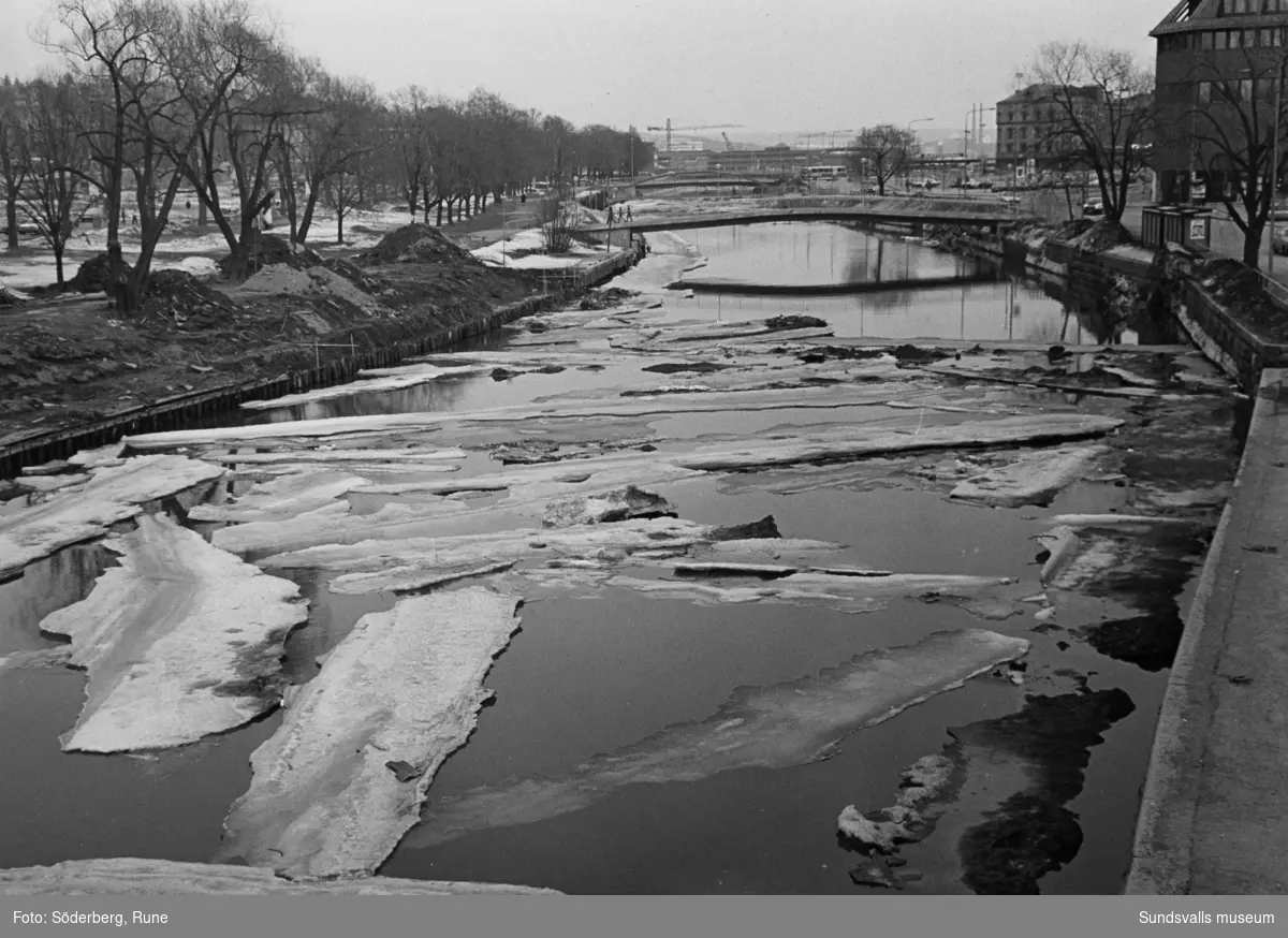 Islossning på Selångersån. Thulebron och Puckelbron.