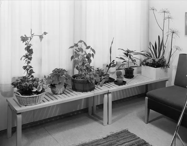 Stlampe stue. interesting find denne og andre pins p inspiration via ... Stue blomster