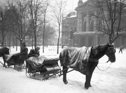 Slededrosjer ved Nationaltheatret.