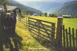 Med ryggen mot dalen.