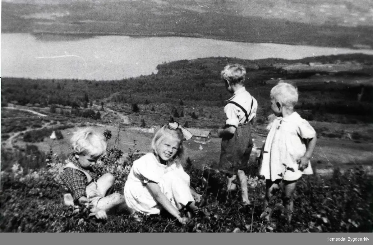 Frå venstre: Nils Kåre Eikre, Synnøve Håvelmoen, Jakob Eikre og Olga Håvelmoen på Eikrestølane i Hemsedal sumaren 1949.
