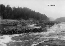 Fra Fossumfossen i Nedre Glomma.  Denne lokaliteten lå på et