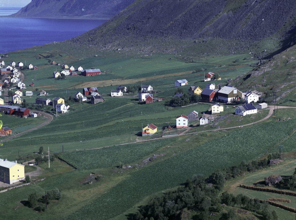 Flyfoto fra Kasfjord.