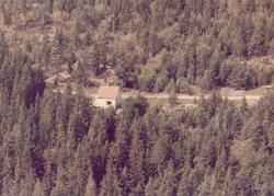 våningshus, trær, haver, vei,