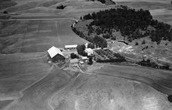 Gården Skollerud i Eidsberg, flyfoto 4. august  1951.
Mangl