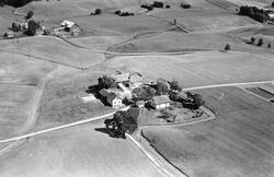 Gården Botten i Rakkestad, flyfoto 4. august  1951.