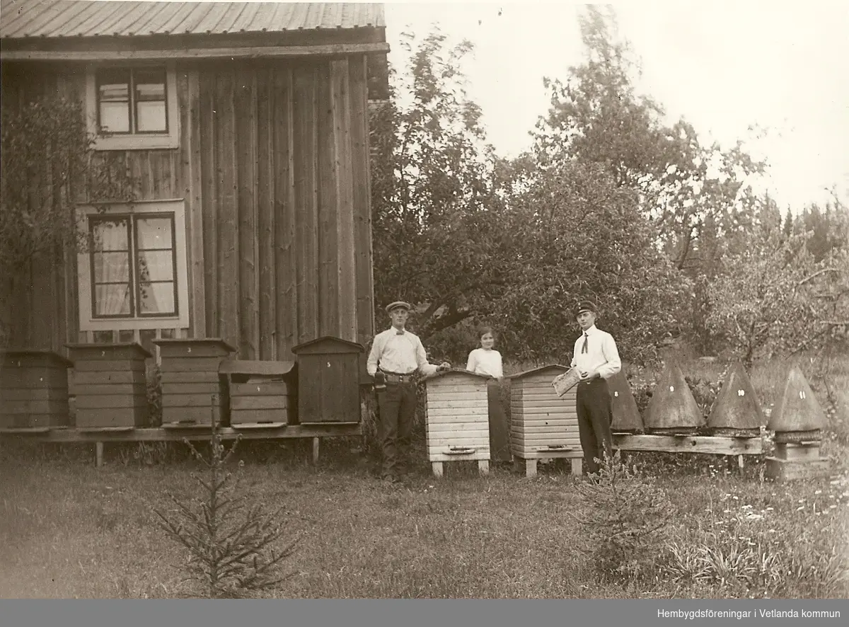 Bikupor i Amnabro, 1915. Från Vänster Reinhold Hansson, Elin Johansson och Anton Hansson.
 
Fröderyds Hembygdsförening