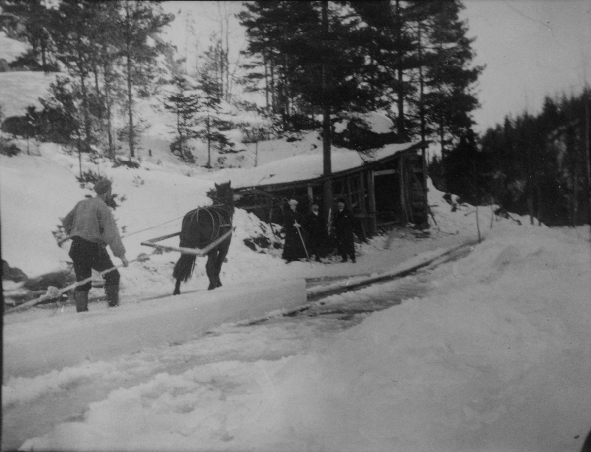 Langvann, Kjølebrønd. Mann og hest trekker en flor fra Langvann  til Frøvikkjenna.  1906. En lengde med flere isblokker er en flor er på vei ti renna ned til Frøviktjenna. Kvinne og to menn på spasertur.