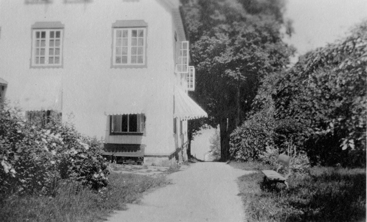 På tunet,  Frøvik gård. Roser i full blomst, ca. 1920 -30