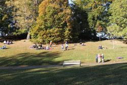 Høstferien 10.10.2012