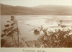 Tinnelvlensen 1911