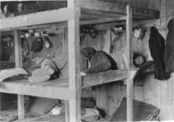 Mai-juni 1945. Fra krigfangeleiren i Namsos.