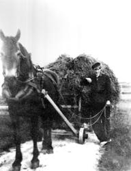 Johs. Furre og "Litj" Svarten på høykjøring på Skei, Leka