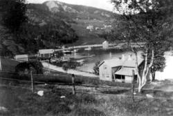 Kolvereidvågen, Nærøy kommune