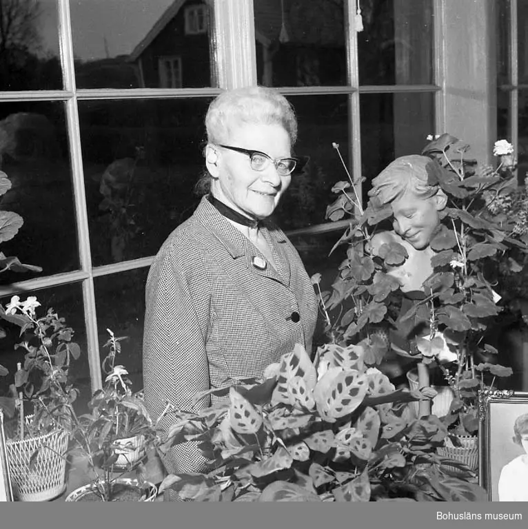 Fotograf Ingeborg Enander i sin dagljusatelje, Stenungsund, år 1960