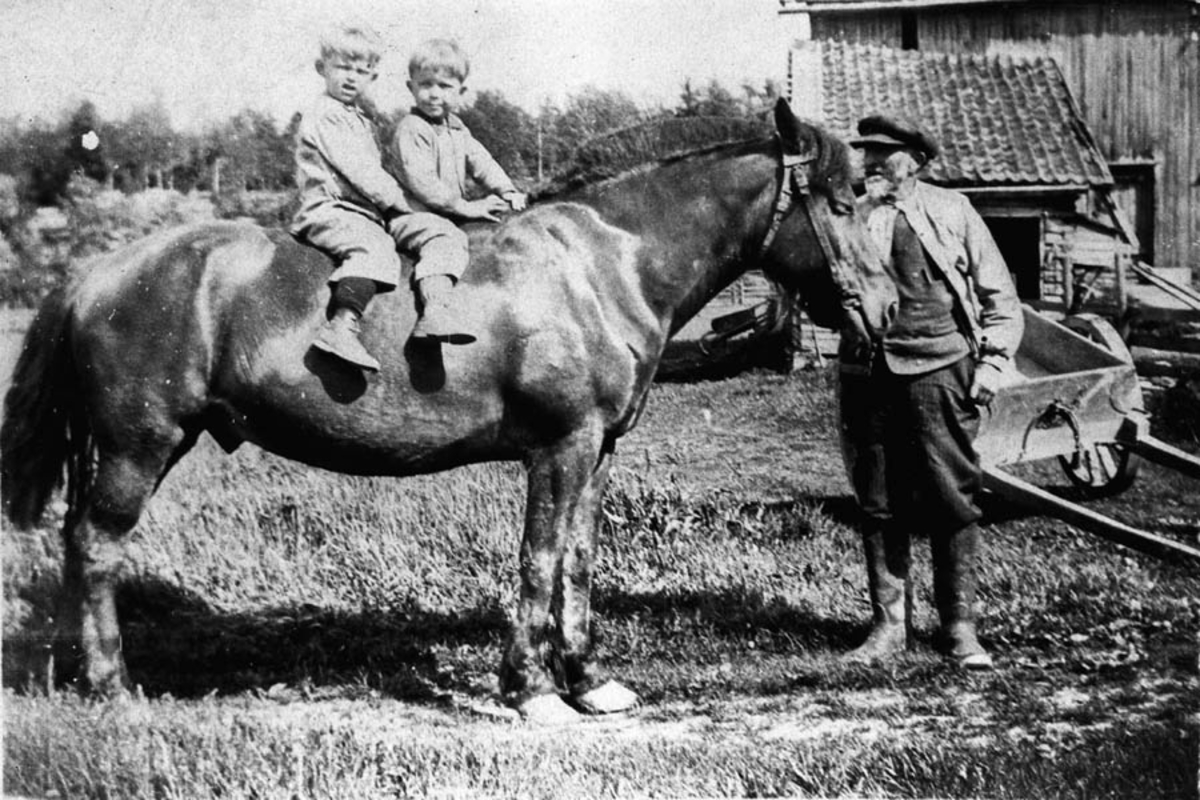 Osvald og Rudolf på hesteryggen. Bestefar Edward Solberg foran hesten og passer på.