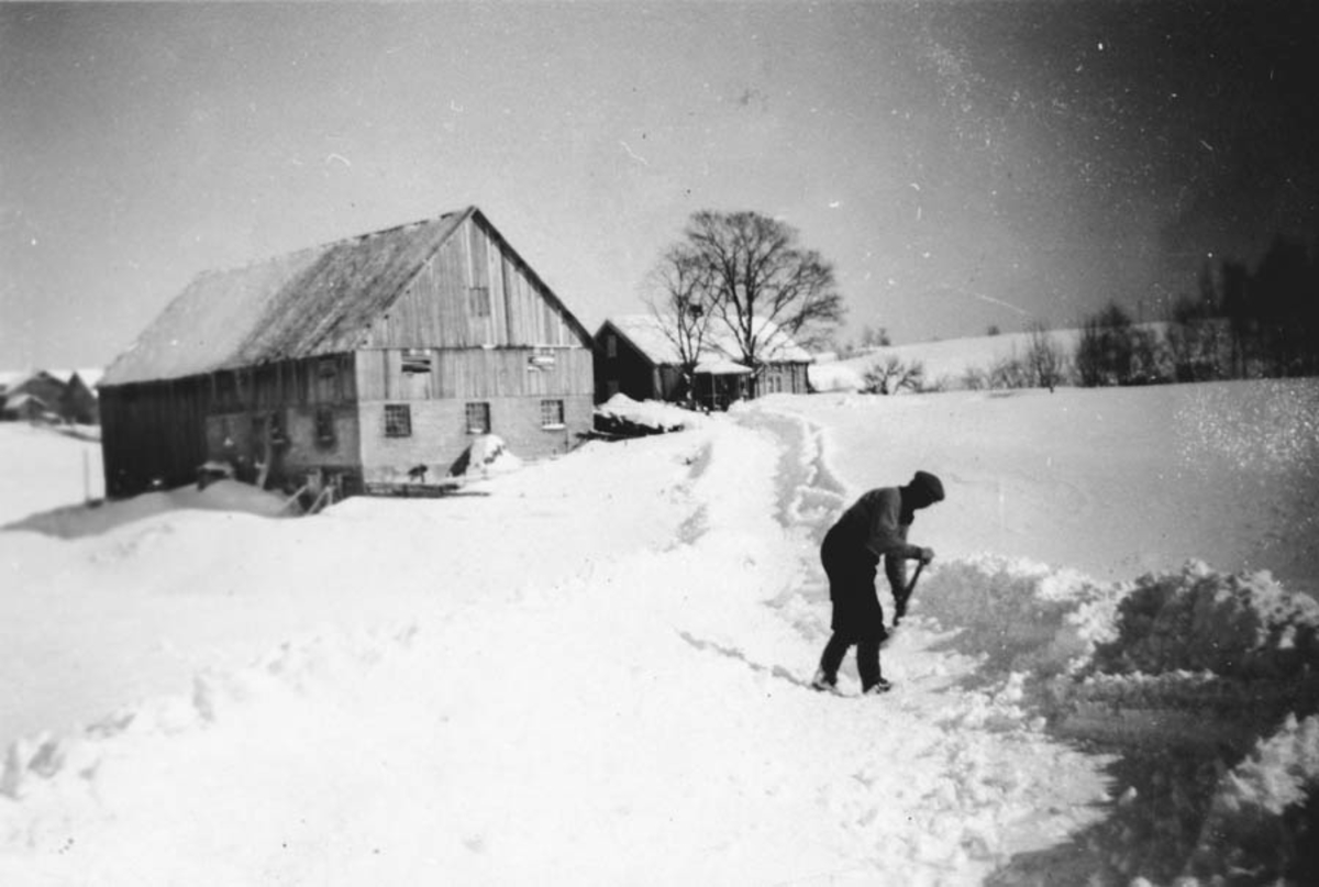 Hvalsenga, Alfred Holen måker snø med spade