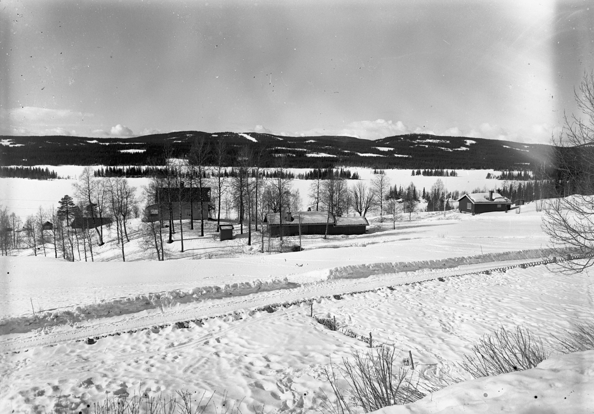 Mathiesen. Jeppedalen ved Øyangen i Hurdal. Landskap ved innsjø. Kong ...