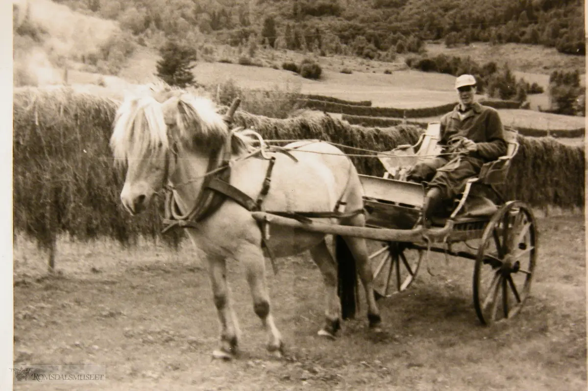 Hest Og Kjerre Romsdalsmuseet Digitaltmuseum 