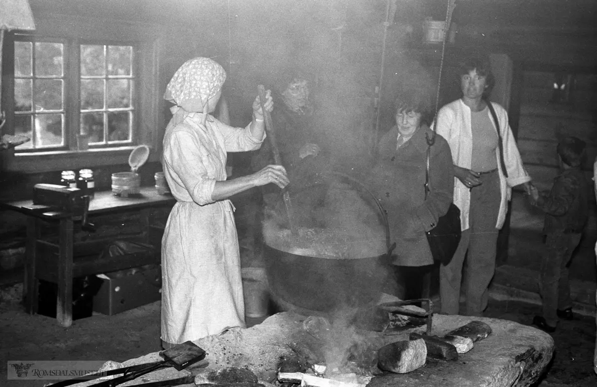 Nesjestranda Husmorlag med flere på Romsdalsmuseet 1984.