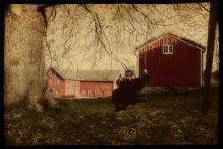 Nesset."barnelek" ."Romsdalsmuseet 100 år".Jubileumsutstilli