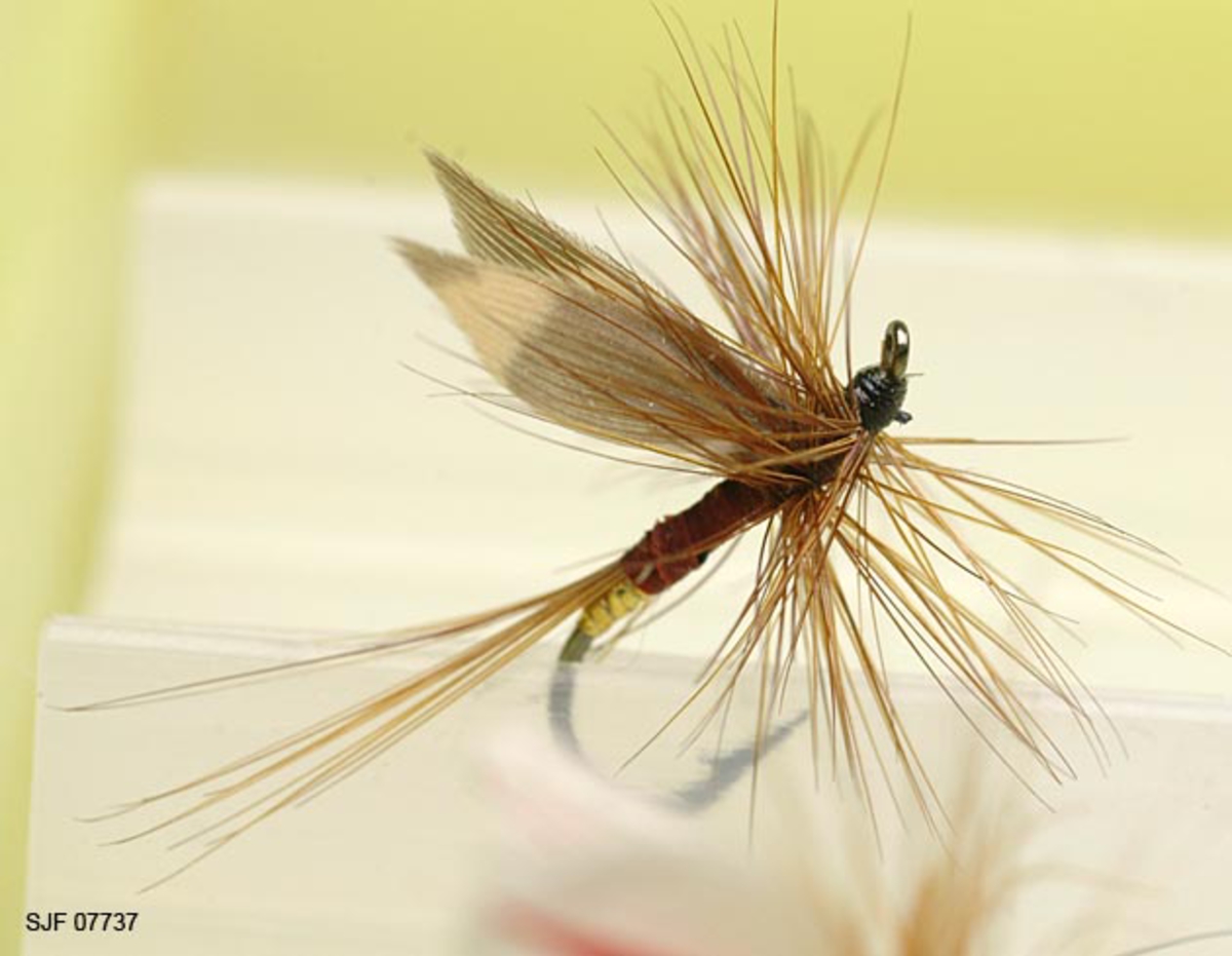 Tilstand: I forbindelse med omfototgrafering høsten 2002, oppdaget OT Ljøstad at enkelte av fluene i denne esken var totalt ødelagt av møllangrep.  Problemet må ses i sammenheng med at materialet har vært oppbevart i magasin C, der temperaturforholdene har passet møllen godt.  Fluene vil nå bli reingjort og flyttet til kjølerommet. 

Boksen inneholder ialt 76 fluer alle ant. tørrfluer. 2 stk har ekstra lange bein ant. navn: Daddy long legg. Tørrfluene virker på den måten at de flyter oppå vannet. Giveren har skrevet ei bok som heter "Isfiske" sammen med Knut Rom, boka ble utgitt i 1972. Giverens far var en ivrig sportsfisker og er gitt tittelen "Den fullendte sportsfisker". 