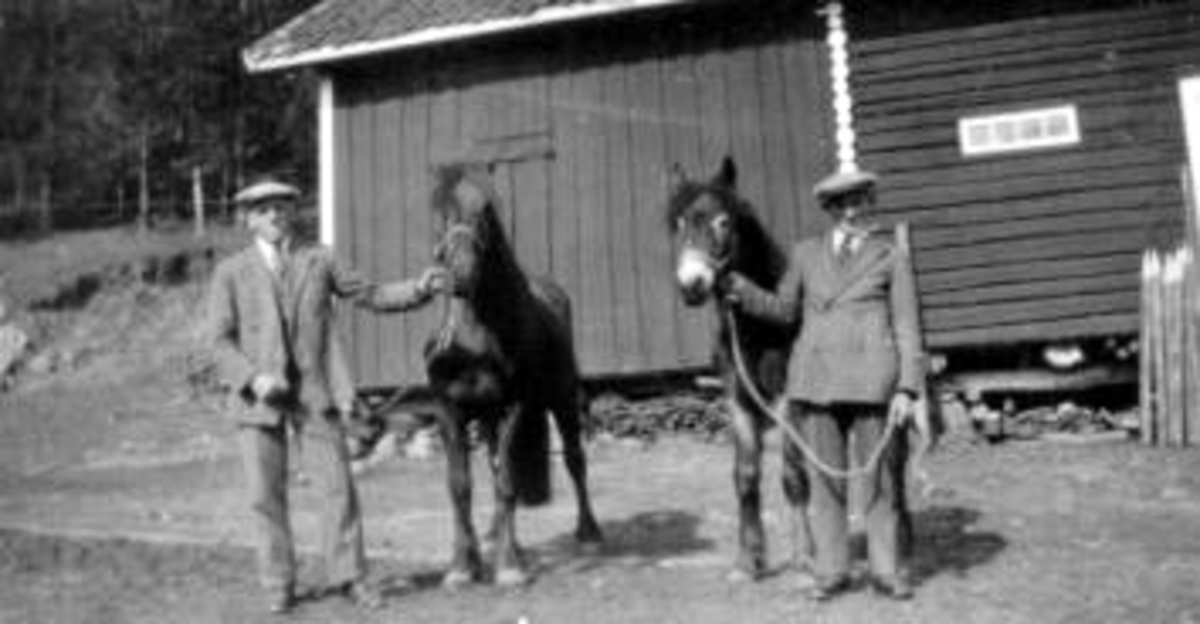 Foran stabburet på Presterud, Helgøya. Lars og Johannes Presterud med hver sin hest. Lars til venstre.