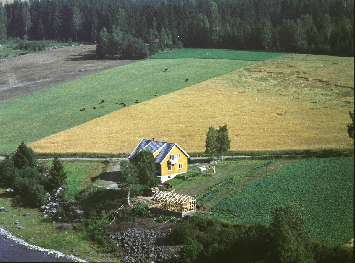 Flyfoto av føderådsbygning på Tangnes nordre, Gaupen, Hedmark.