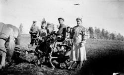 Potetonn på Haugsveen nedre, Åsmarka, Ringsaker. Hest med po