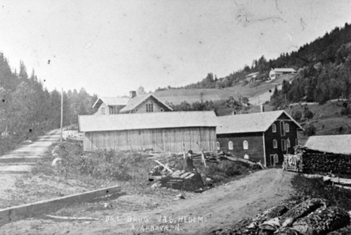 Eksteriør, Dal bruk, Nes, Hedmark. A. Arnkværn. Mølle fra 1897, senere også sagbruk. I bakgrunnen Bergestuen.
