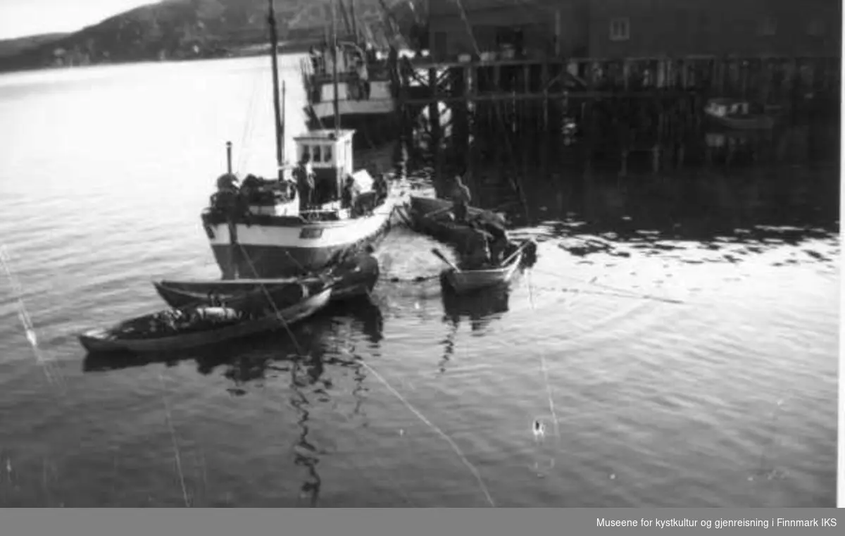 Tromsbåt med notfangst ved Guldbrandsenkaia i Kongsfjord. Flere båter med not. En båt med tønne som brukes til fløyt, ca 1960