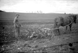 HEST M/MARKØR OG MANN I ARBEID PÅ JORDET, FURNES, STOR-DEGLU