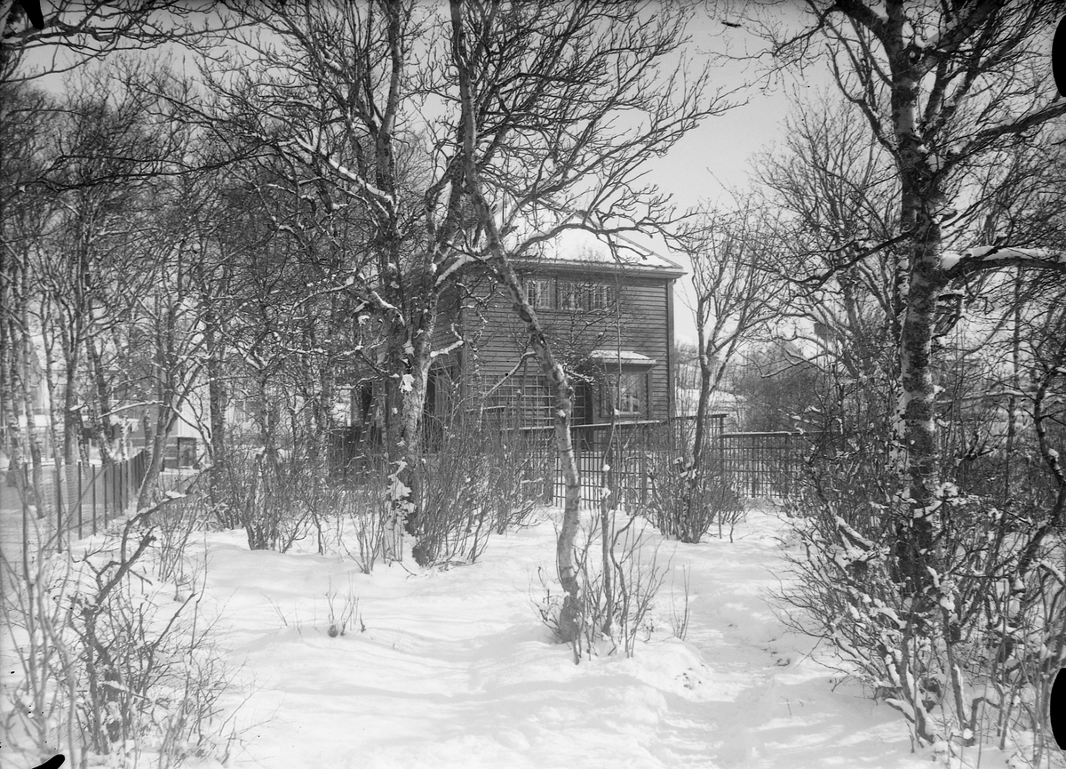 Villaen til professor Ragnvald Iversen