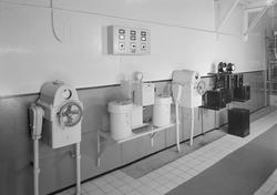 Interiør fra kjeller med fyrkjel, E.C. Dahls Bryggeri.